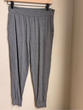 Fighting Eel Grey Joggers